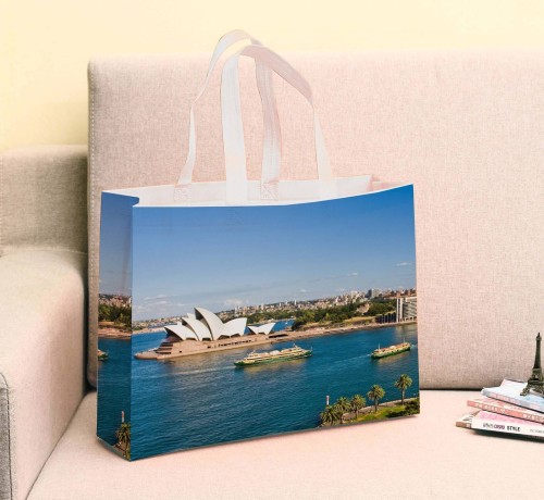 PP Lamination Nonwoven Shopping Bags