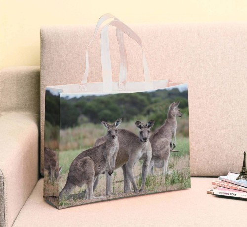 PP Lamination Nonwoven Shopping Bags