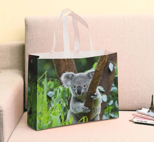 PP Lamination Nonwoven Shopping Bags