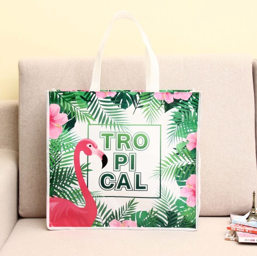 Eco-Friendly Nonwoven Shopping Bag