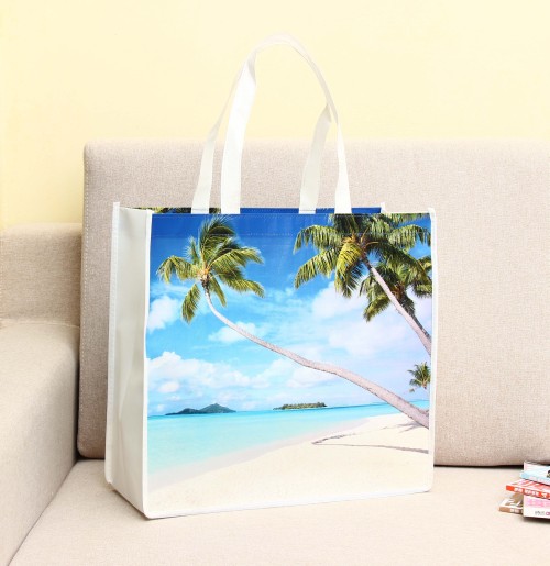 Eco-Friendly Nonwoven Shopping Bag