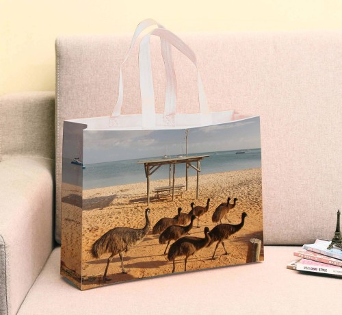 PP Lamination Nonwoven Shopping Bags